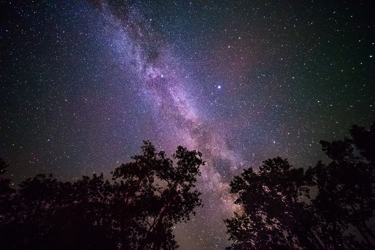 a starry sky with trees